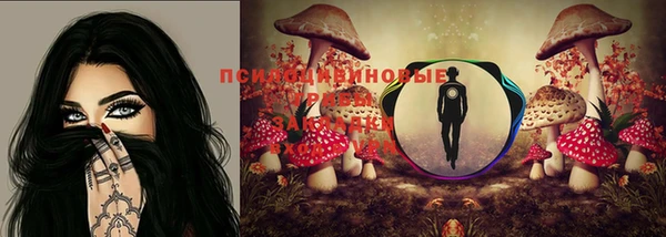 МДПВ Володарск