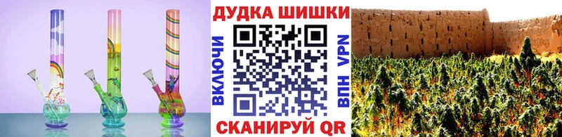 где купить   Камень-на-Оби  Конопля сатива 